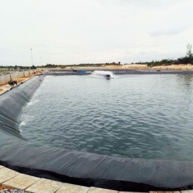 Tấm nhựa HDPE làm bể cá: Có nên sử dụng không?